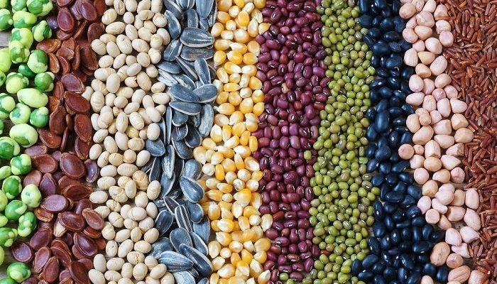 FSSAI-prescribes-maximum-limits-of-extraneous-matter-in-Raw-Pulses